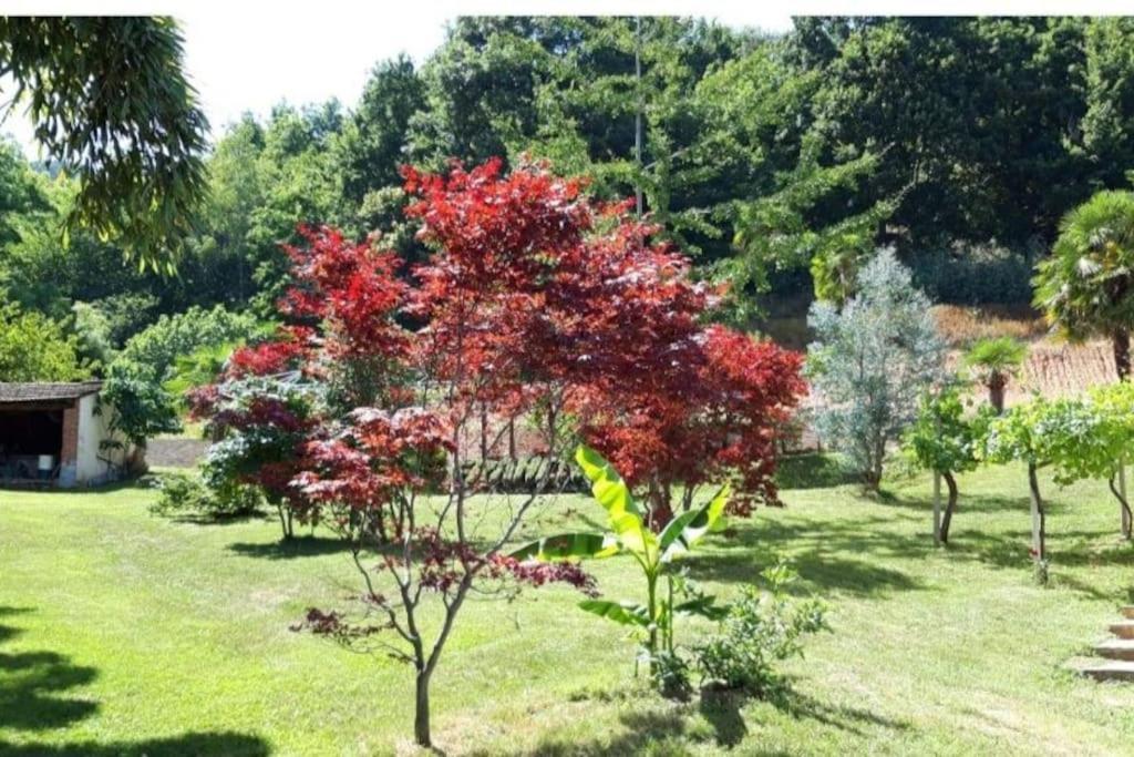 דירות Costigliole Saluzzo Istanti - Salvia מראה חיצוני תמונה